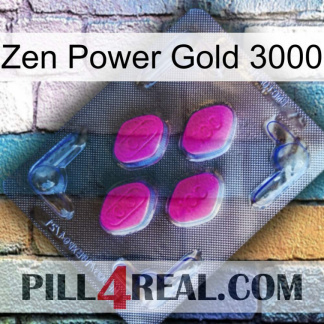 Zen Power Gold 3000 02